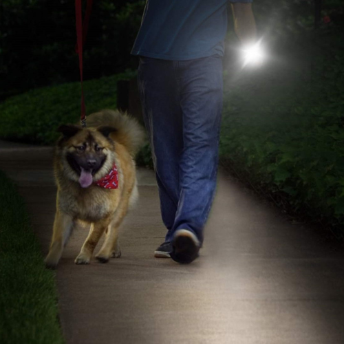 walking god at night with VitalTac Flashlight